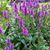 Mitzi Warren Glazier's profile image