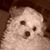 Sandy Winchester Griffin's profile image