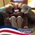 Nancy Crigger Dutton's profile image