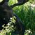 Dana Barthel's profile image