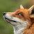 Cameron White's profile image