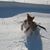 Susan Swofford's profile image