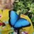 Amy Singley's profile image