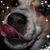 Cherie C Davidson's profile image