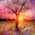 Tracy Stephan's profile image