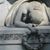 Diane Bontemps Brenes's profile image