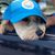 Kristin Wist's profile image