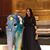 Sunee Kotheeranurak's profile image