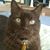 Theresa Anderson-Kentner's profile image