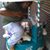 Nishal Biggz's profile image