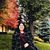 Deidre Acosta's profile image