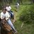 Suze Dailey's profile image