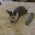Cynthia Fesler's profile image