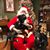 Tracy Fisher Manfredo's profile image