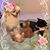 Sherry Scalise's profile image