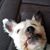 Malinda Upton Verrigni's profile image