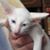 Billiam Clinton's profile image