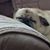 Barbara Housler's profile image