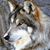 Barbara Bachert's profile image
