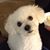 MaryAnn Gillespie's profile image