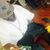 Mike Citi Elorme's profile image