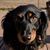 Bryan R. Cope's profile image