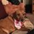 Rhonda Hillman's profile image