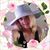 Lisa Chanley's profile image