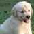 Joyce Johnson's profile image