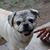 Kimberely Preiss's profile image