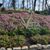 Jerry R Oppenlander Sr.'s profile image