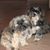 Randy Humphrey's profile image