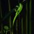 Ivan Echevarria Alicea's profile image