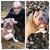Donna Moyer-Shelby's profile image