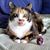 Nina Marie's profile image