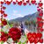 Guardelaine de la Plaza's profile image