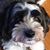 Maryanne Thomson Briski's profile image