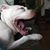 Beth Sahagian-Allsopp's profile image