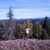 Shannon Hively's profile image
