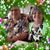 Danny Baker's profile image