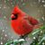 Mary Poller's profile image