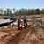 Newcomb Land Surveyors's profile image
