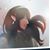 Olga Melendez McSorley's profile image