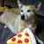 Fran Leidy's profile image