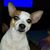 Jamey Eades's profile image