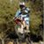 Natascha Shelton's profile image