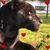 Cecy V Aguirre's profile image