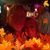 Kay Merritt-Javens Streeter's profile image