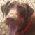 Lisa Nitsche Ferber's profile image