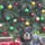 Chelle Boyd's profile image